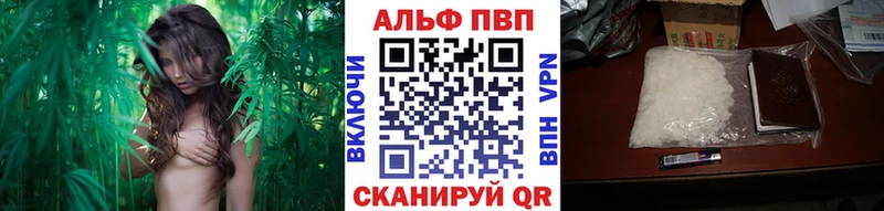 MEGA как зайти Мытищи Альфа ПВП мука