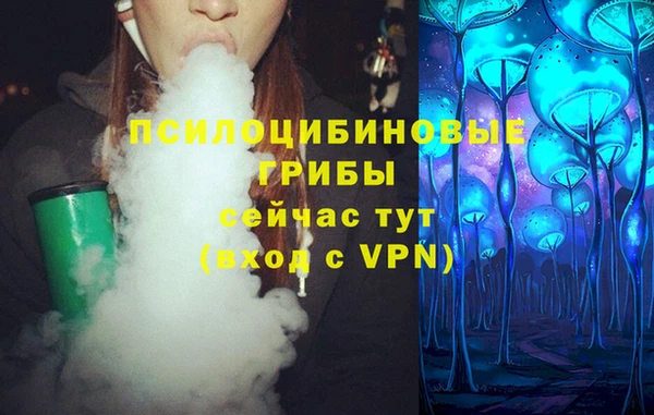 герыч Алзамай