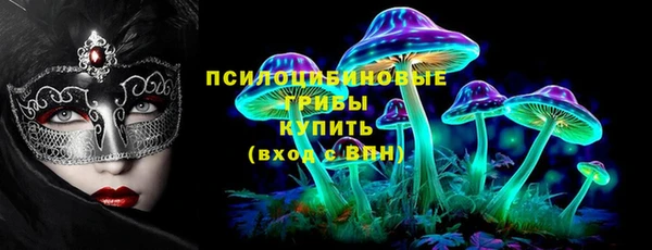 дмт Армянск